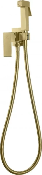 Смеситель встраиваемый с гигиеническим душем FILARETE Fing FL101 Золото матовое