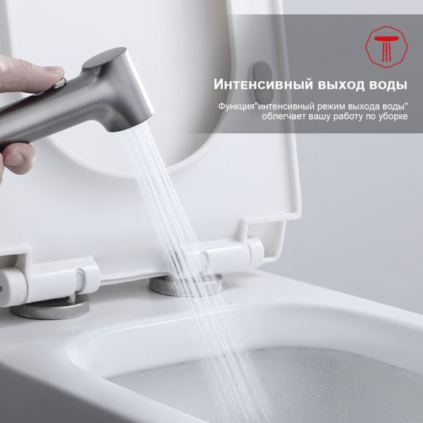 Гигиенический душ со смесителем Raglo R03.52.09, графит