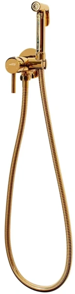 Смеситель встраиваемый с гигиеническим душем Hansberge H3099 Золото глянец