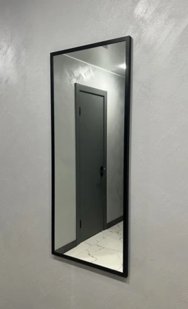 Зеркало EMZE Line в алюминиевой раме 118x50 (черный)