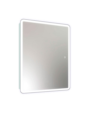 Зеркальный шкаф для ванной 60x80см с регулируемой LED подсветкой 6000k "Reflexion Chill " RF2316CH