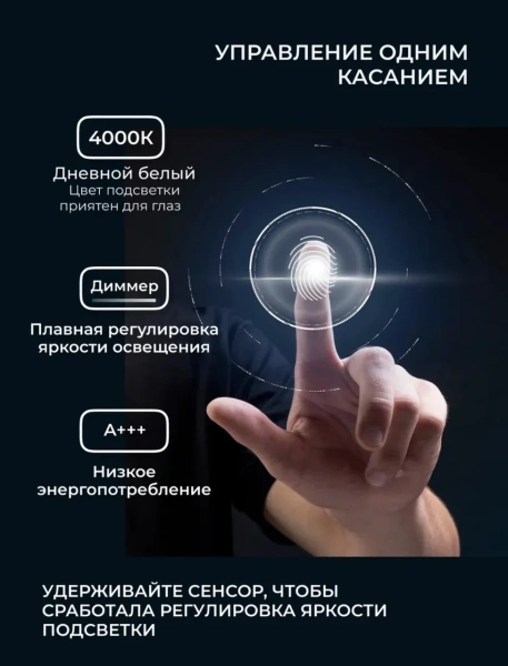 Зеркало EMZE Led Смартфон 50x100 (с подсветкой)
