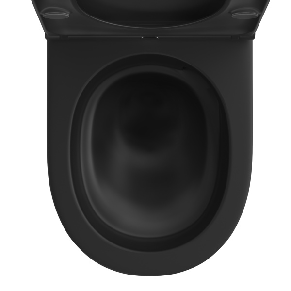 Безободковый подвесной унитаз в наборе 2 в 1: чаша подвесного унитаза, быстросъемное сиденье микролифт, цвет матовый черный Wellsee Croquis 182613001