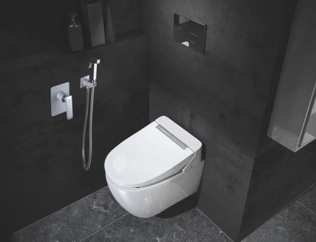 Смеситель с гигиеническим душем Rose R1605f