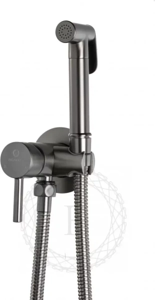 Смеситель встраиваемый с гигиеническим душем FILARETE Roun FL100 Графит