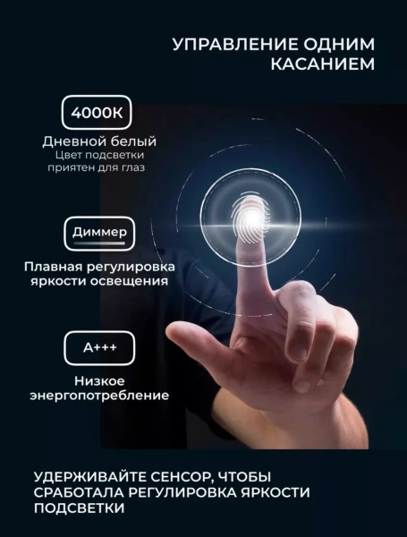 Зеркало EMZE Led Смартфон с подсветкой и УФ-окантовкой 50x100 (черный)