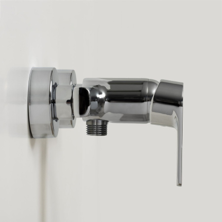 Смеситель для душа WasserKRAFT Dill 6102