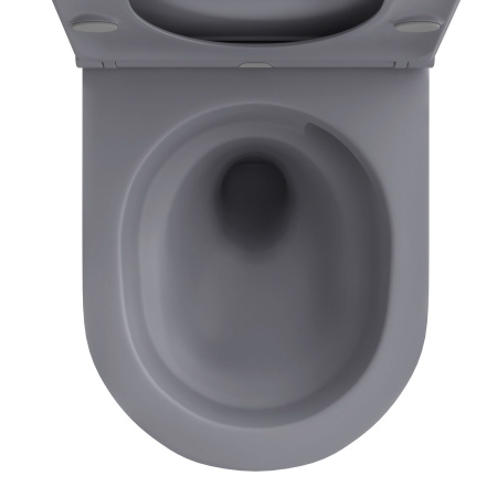 Безободковый подвесной унитаз в наборе 2 в 1: чаша подвесного унитаза, быстросъемное сиденье микролифт, цвет матовый серый Wellsee Chalice Perfection 182610001