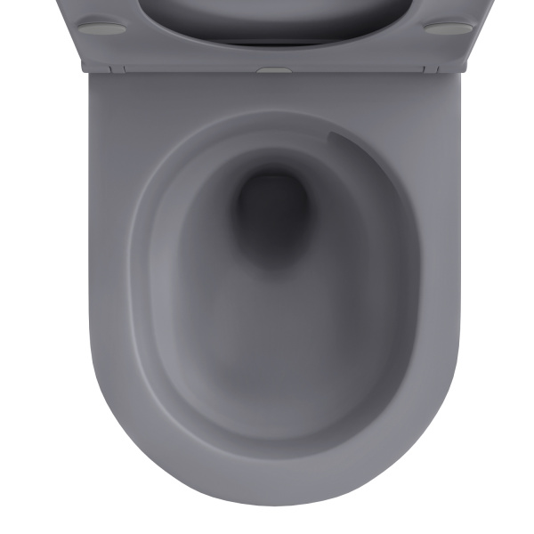 Безободковый подвесной унитаз в наборе 2 в 1: чаша подвесного унитаза, быстросъемное сиденье микролифт, цвет матовый серый Wellsee Chalice Perfection 182610001