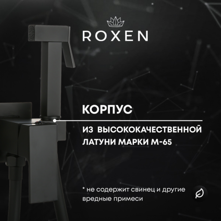 Гигиенический душ с лейкой RoxenBath Caspia 50096000-B