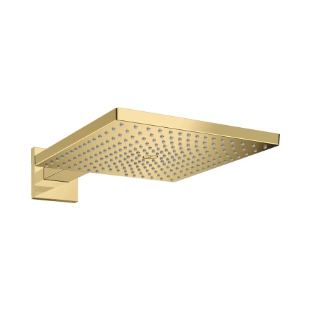 Hansgrohe Raindance E Верхний душ 300 1jet с держателем хром-черный матовый 26238340