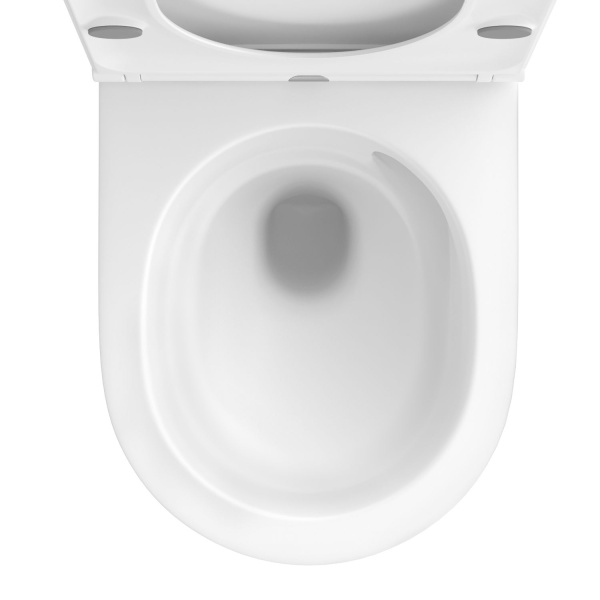 Безободковый подвесной унитаз в наборе 2 в 1: чаша подвесного унитаза, быстросъемное сиденье микролифт, цвет глянцевый белый Wellsee Éclatant 182615001