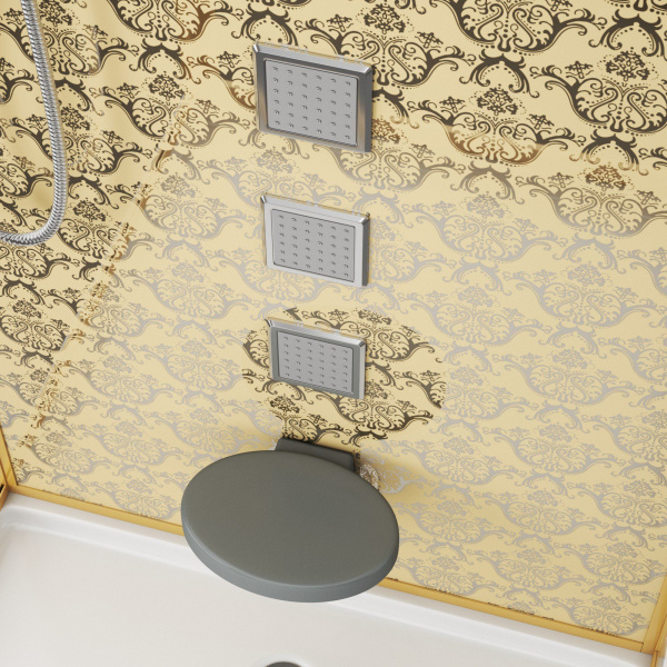 Душевая кабина Niagara Luxe NG-7714G 100x90x215, низкий поддон, стенки золото