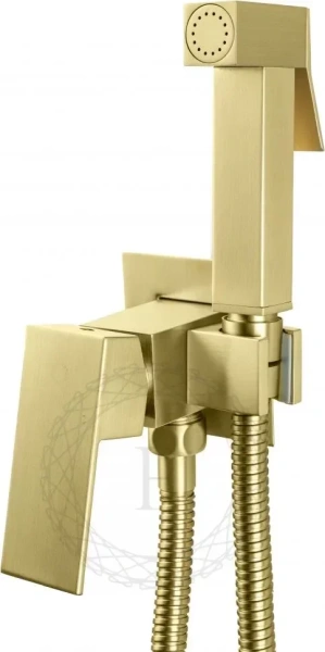 Смеситель встраиваемый с гигиеническим душем FILARETE Fing FL101 Золото матовое