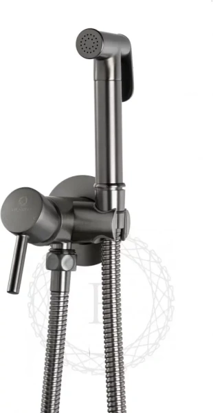 Смеситель встраиваемый с гигиеническим душем FILARETE Roun FL100 Графит