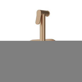 214000000 Option Смеситель Damixa монтируемый в стену, с гигиеническим душем, бронза