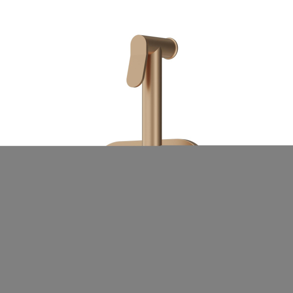 214000000 Option Смеситель Damixa монтируемый в стену, с гигиеническим душем, бронза