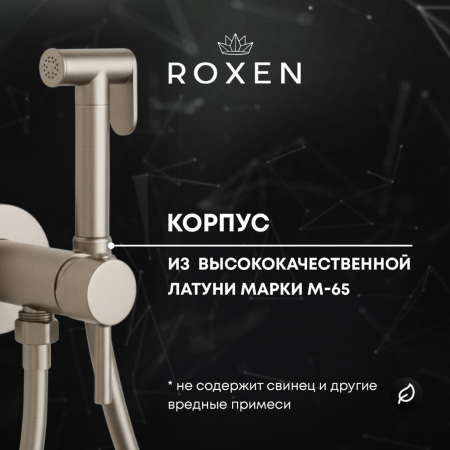 Гигиенический душ с лейкой RoxenBath Santi 50094000-BN