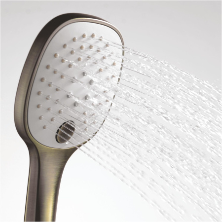 Лейка для душа WasserKRAFT Exter A050