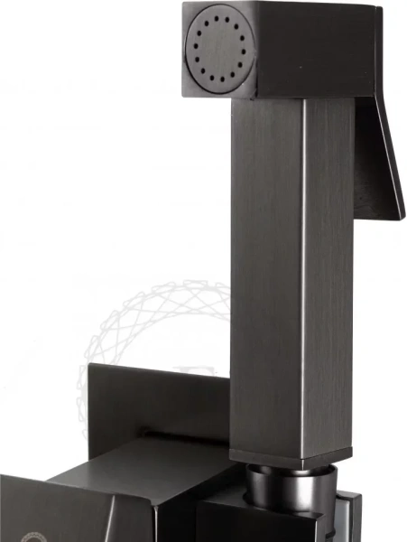 Смеситель встраиваемый с гигиеническим душем FILARETE Fing FL101 Графит