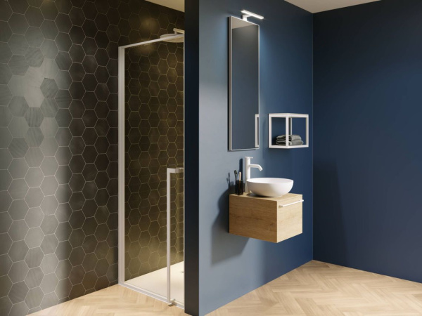 Душевая дверь Riho Lucid GD101 100 GD110W000 белый