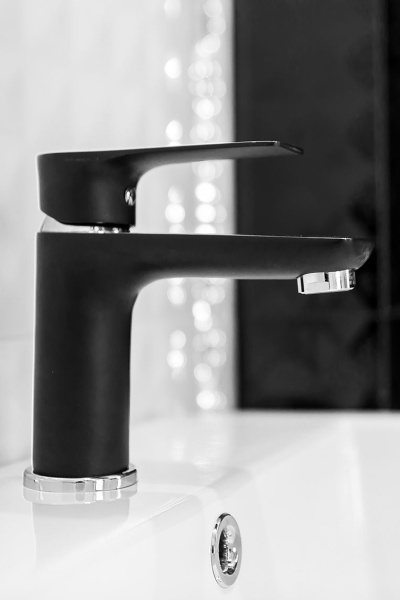 Смеситель для раковины Laveo Raila BLL_722D черный