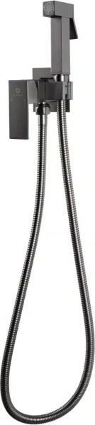 Смеситель встраиваемый с гигиеническим душем FILARETE Fing FL101 Графит