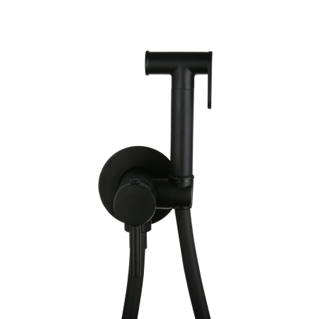 Смеситель встраиваемый RoxenBath Santi 500940-B с гигиеническим душем