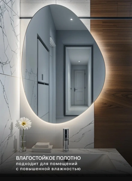 Зеркало EMZE Led Асимметричное 55x80 (с подсветкой)