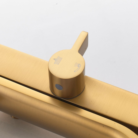 Душевая система Shevanik S4036G, золотой сатин