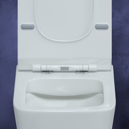 Унитаз BERGES подвесной FLOE 55 см, сиденье дюропласт Floe Slim SO, микролифт, быстросьем