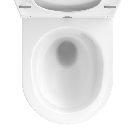 Безободковый подвесной унитаз в наборе 2 в 1: чаша подвесного унитаза, быстросъемное сиденье микролифт, цвет глянцевый белый Wellsee Chalice Perfection 182607001