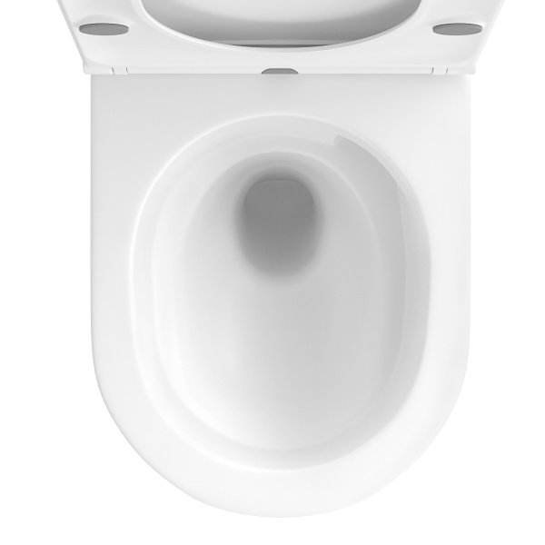 Безободковый подвесной унитаз в наборе 2 в 1: чаша подвесного унитаза, быстросъемное сиденье микролифт, цвет глянцевый белый Wellsee Chalice Perfection 182607001