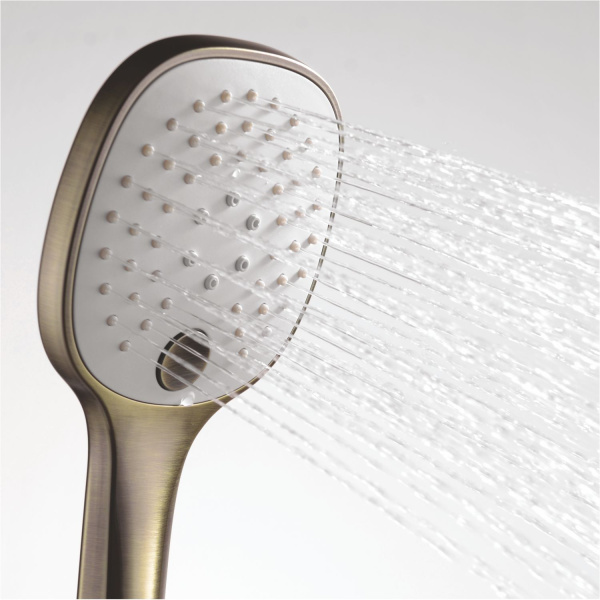 Лейка для душа WasserKRAFT Exter A050