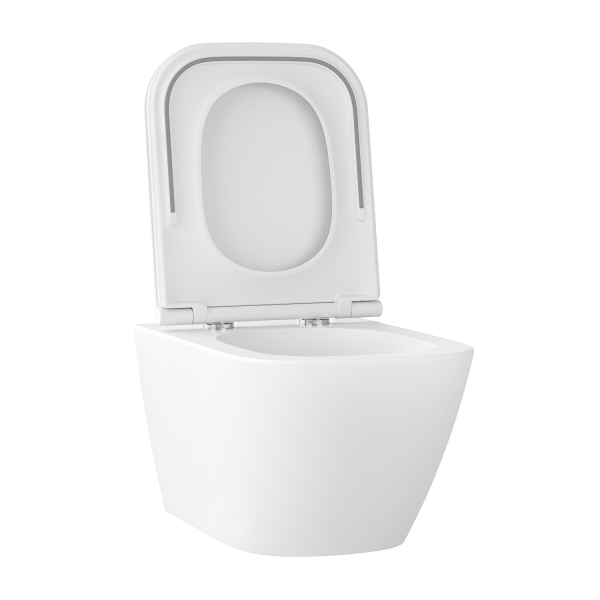 Безободковый подвесной унитаз в наборе 2 в 1: чаша подвесного унитаза, быстросъемное сиденье микролифт, цвет матовый белый Wellsee Pure BY Wellsee 182603001