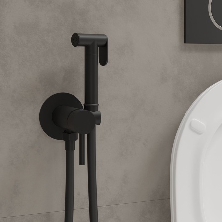 Смеситель встраиваемый RoxenBath Santi 500940-B с гигиеническим душем