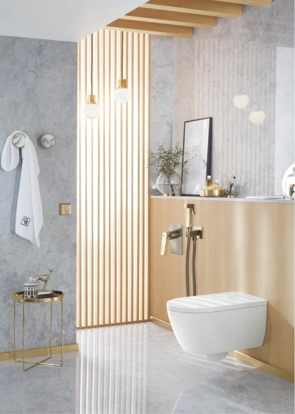 Смеситель с гигиеническим душем Rose R1605Q