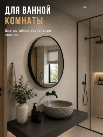 Зеркало EMZE Shine D60 (черный)