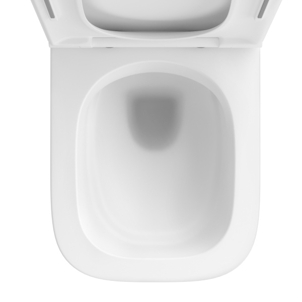 Безободковый подвесной унитаз в наборе 2 в 1: чаша подвесного унитаза, быстросъемное сиденье микролифт, цвет матовый белый Wellsee Pure BY Wellsee 182603001