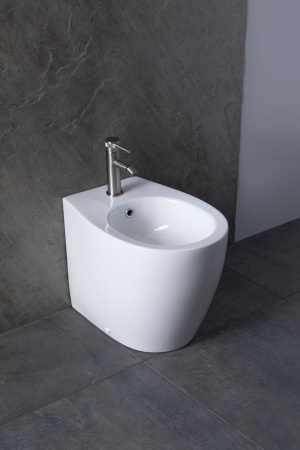 Биде напольное Allen Brau Fantasy 4.11008.20 белый глянец