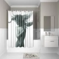 Штора для ванной комнаты 200х180 IDDIS Basic B27P218i11