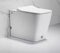 Унитаз DISGRAZIA Pulse приставной с функцией импульсного смыва Cerutti SPA CT7269