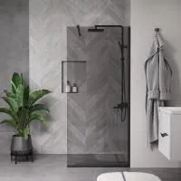Душевая перегородка ограждение Reflexion RX20090TBL-16 Walk in 200x90см тонированное закаленное стекло 8мм черный профиль