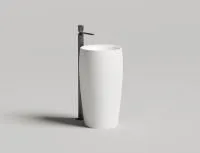 Раковина напольная Salini ALDA 03 покраска по RAL полностью, 130321MF