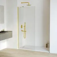 Душевая перегородка RGW WA-110Gb 1000