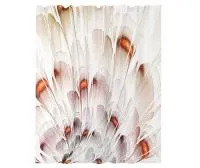 Шторка для ванной WasserKRAFT Nau  SC-77103