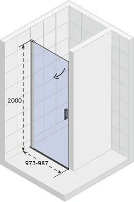 Душевая дверь Riho Novik Z101 100 GZ1100000