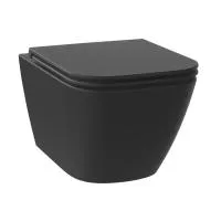 Безободковый подвесной унитаз в наборе 2 в 1: чаша подвесного унитаза, быстросъемное сиденье микролифт, цвет матовый черный Wellsee Pure BY Wellsee 182604001